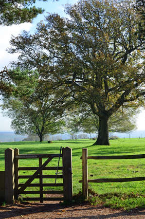 Public right of way.の写真素材