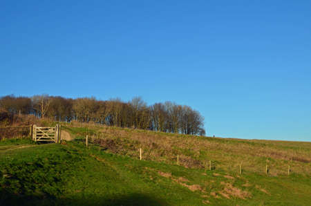 Wooden gate on Devil\'s Dyke in East Sussex, England.の写真素材