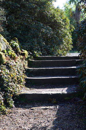 Garden steps.