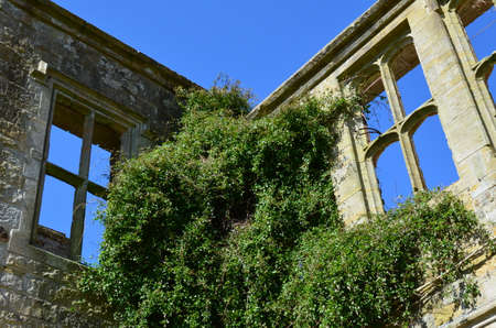 Ruined building with foliage covering its wallsの写真素材