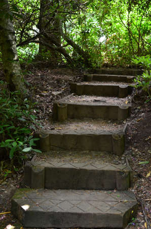 Garden steps.