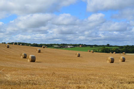 Hay field in rural West Sussex.の写真素材