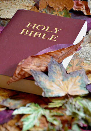bible between colorful autumn leavesの写真素材