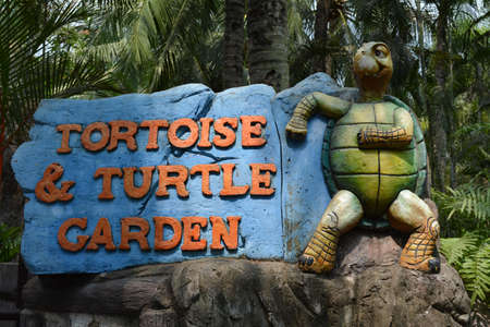 Tortoise Or Turtleの写真素材