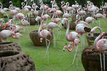 So Many Heron on grassの写真素材