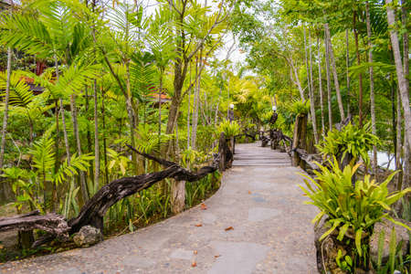 Backyardの写真素材