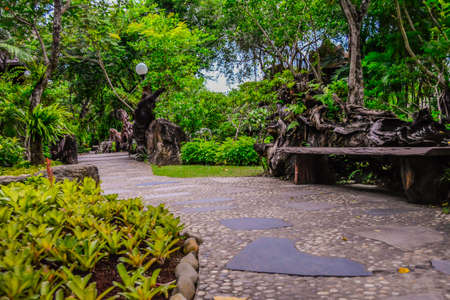 Little Gardenの写真素材