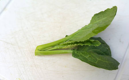 Kale