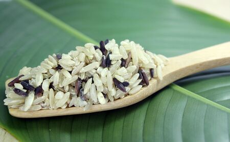 rice berry,black grain of riceの写真素材
