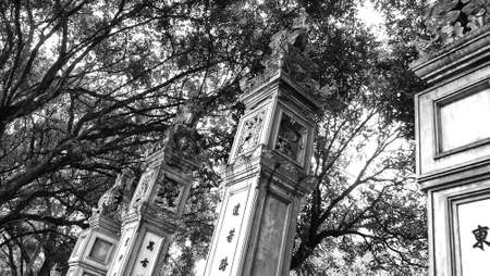 Vietnamese Column and Treeの写真素材