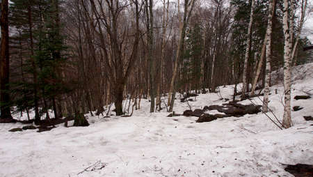 Snow landscape 3の写真素材