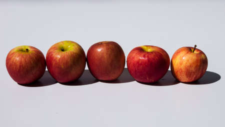 5 Red Apples White Background 8の写真素材