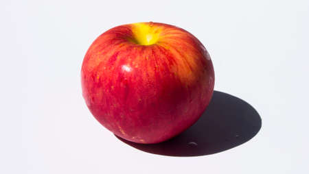 1 Red Apple White Background 3の写真素材