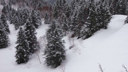 snow mountain in japanの写真素材