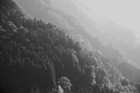 Mountain in the fogの写真素材