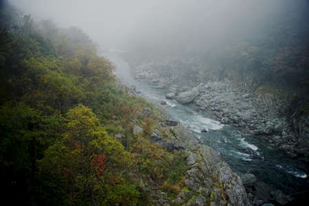 river run through the mountain in the foggy morningの写真素材