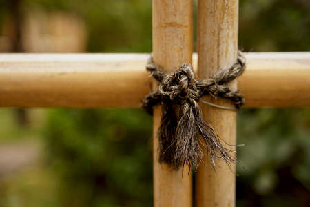 Bamboo Fence Detail