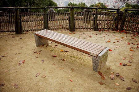 Wooden Bench in the parkの写真素材