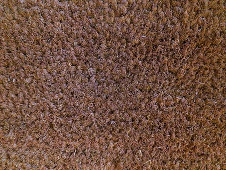 Rug backgroundの素材