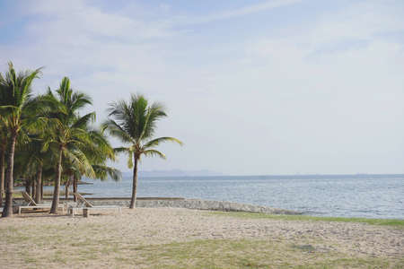 Beach with coconut trees and daybed, Thailandの写真素材
