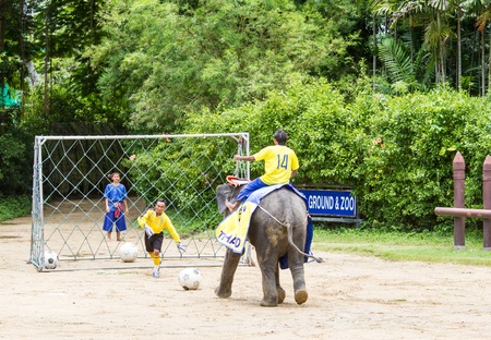 NAKORNPATHOM THAILAND, June 20:  Elephants play football  performing a show in June 20, 2013 in...