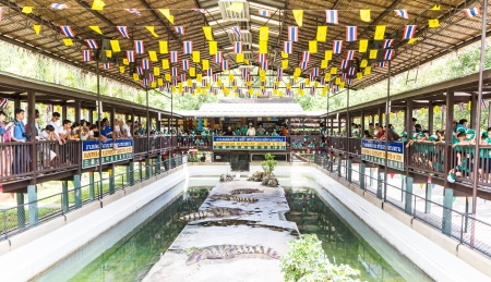 NAKORNPATHOM THAILAND, June 20:   performing a Crocodile show in June 20, 2013 in Nakompathom.のeditorial素材