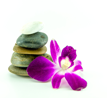 Zen stones and orchid on the white backgroundの写真素材