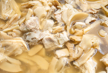 the soup soft bamboo shoots with porkの写真素材