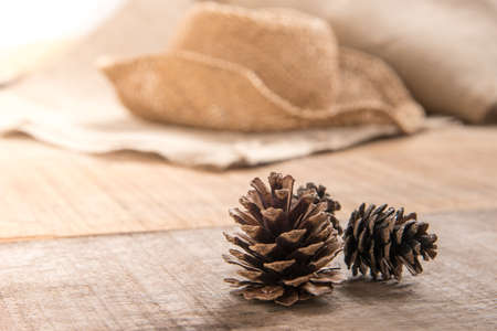 Pine cones on wooden backgroundの写真素材