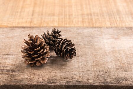 Pine cones on wooden backgroundの写真素材