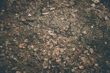 Abstract brown  ground surface. Close up natural background with photo filterの写真素材