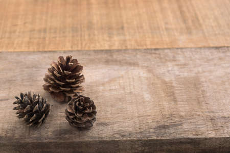 Pine cones on wooden backgroundの写真素材