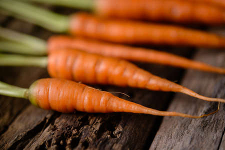 Baby carrots, fresh vegetables grown with pesticides and non-toxic. And deliciousの写真素材