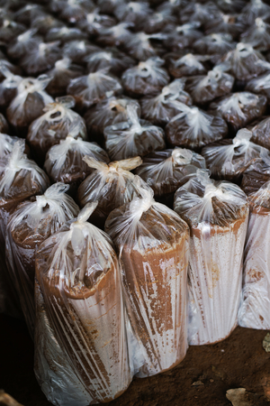 Clay is a material used to make pottery of Thailand.の写真素材