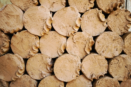 Clay is a material used to make pottery of Thailand.の写真素材