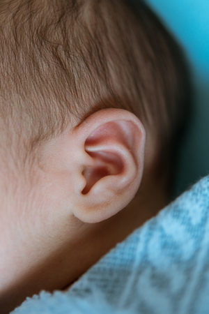 baby ear a sleeping covered with blue cloth.at the hospitalの写真素材