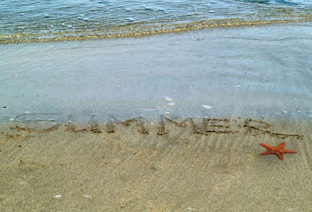The summer writing on sand.の写真素材