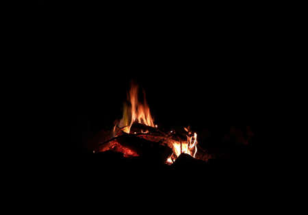 campfire in the nightの写真素材