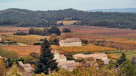 autumn landscape in Provence, Franceの写真素材