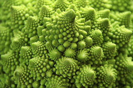 Close up macro shot of Roman Cauliflower. Shallow depth of field with focus on front of cauliflower spiral patternの写真素材