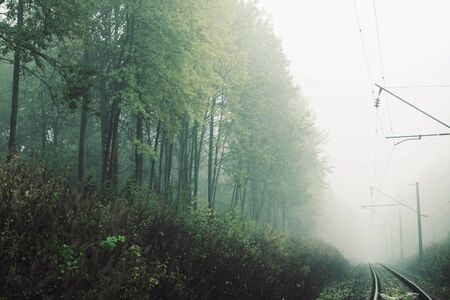 landscape outside the town with the railway in the forest in the fog