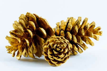 Christmas Pine Conesの写真素材