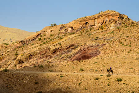 Journey in a Desertの写真素材