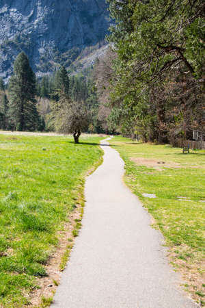 Straight Pavement, Yosemite National Parkの写真素材