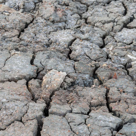 Cracked Soilの写真素材