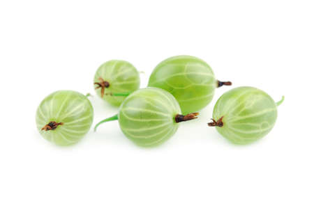 Green gooseberry fruit closeup on a white background. Selective focus. の写真素材