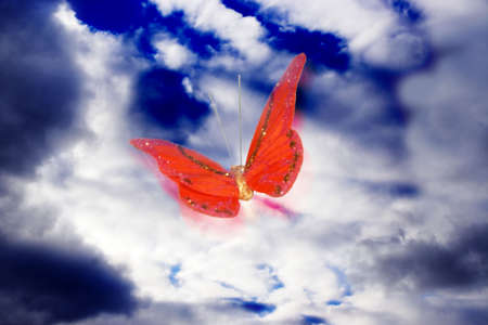 scene flying butterflies in cloudの写真素材