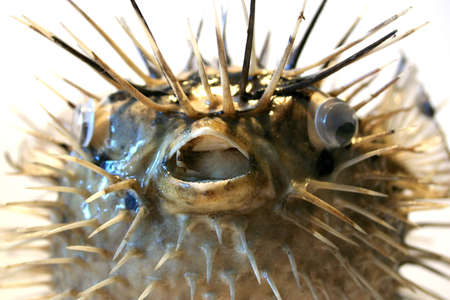 abstract sceneの写真素材