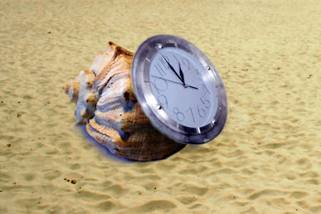 abstract scene sand seashell and watch