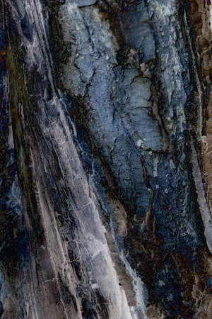 textureの写真素材